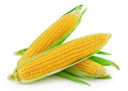 Trading de maíz